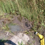 Muddring